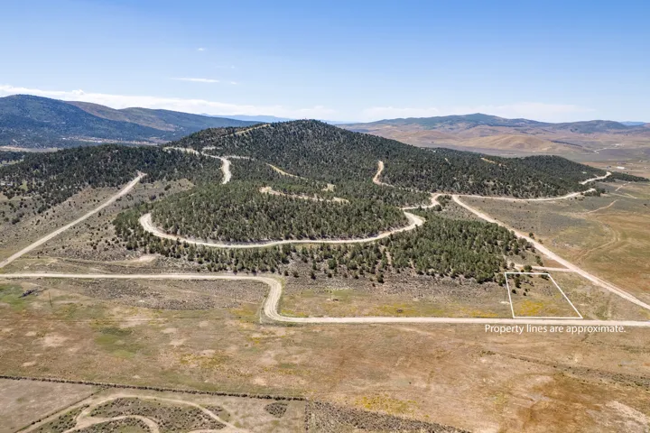 Expansive open terrain with a forested hillside backdrop