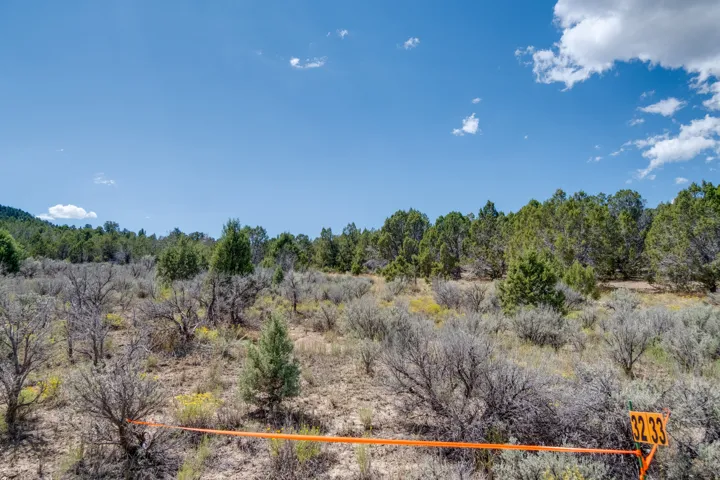 Unit 33, Indianola, Utah 84629