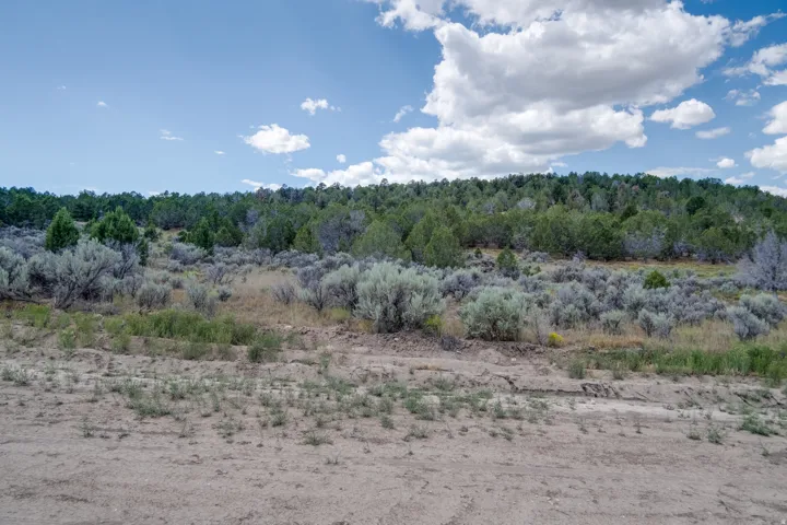 Unit 19, Indianola, Utah 84629