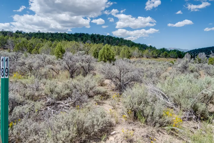Unit 19, Indianola, Utah 84629