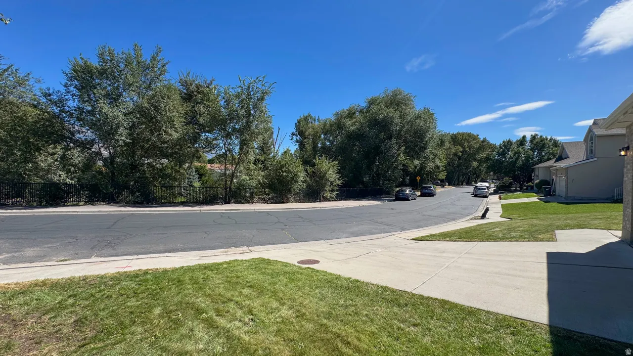 Manicured lawn with concrete walkway and paved road