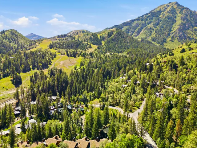 Mountainous terrain with extensive tree coverage and visible residential structures