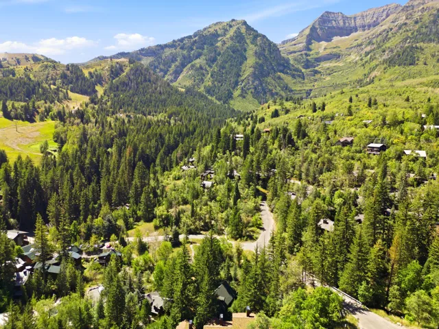 Mountainous terrain with extensive tree coverage and visible residential structures