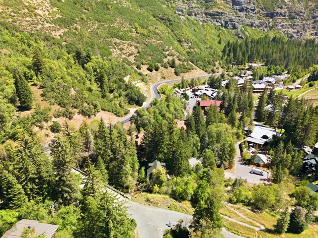 Mountain landscape with an asphalt road, surrounded by mature trees and varied vegetation