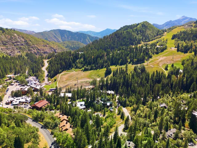 Mountainous terrain with extensive tree coverage, winding roads, and scattered structures