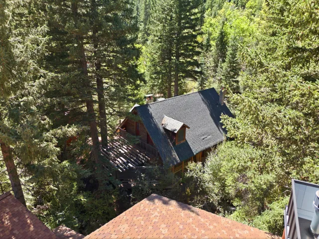Gable roofline with dormer window, surrounded by mature trees
