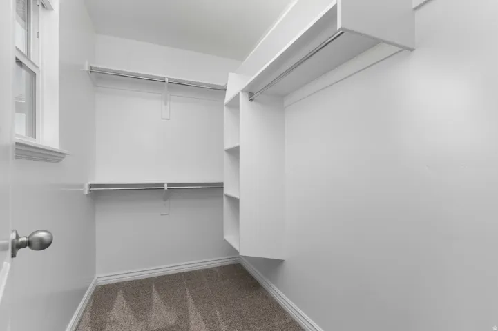 Built-in shelving, hanging rods, window, carpeted flooring, and white painted walls