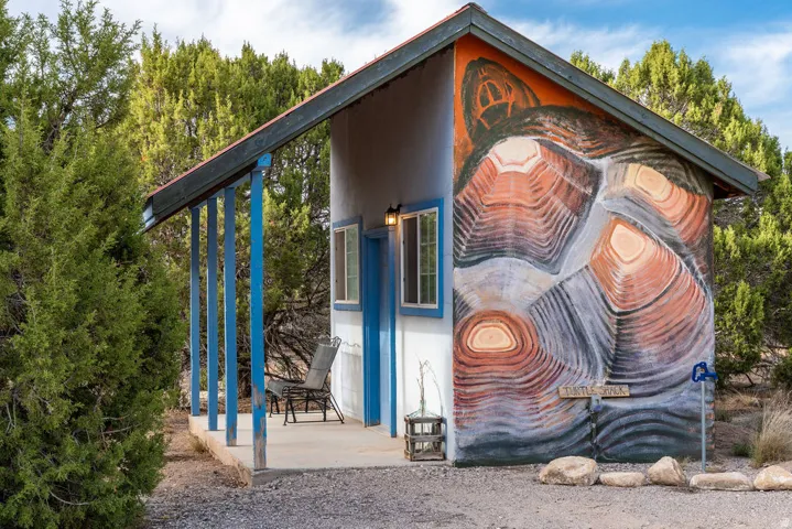 Shed structure with a distinct wall mural, covered porch with support pillars, and exterior lighting