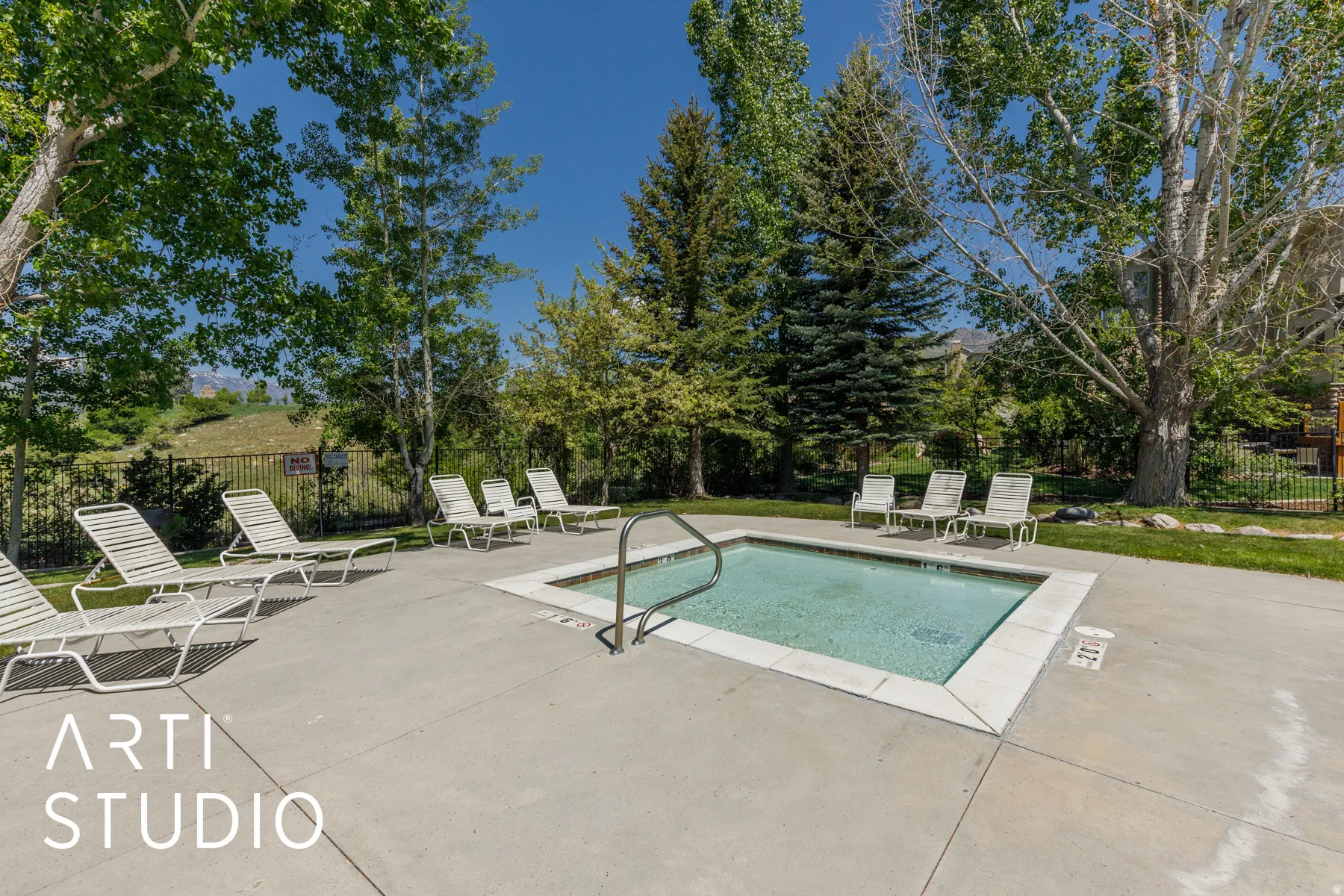 Outdoor spa with surrounding concrete decking, integrated handrail, and perimeter landscaping