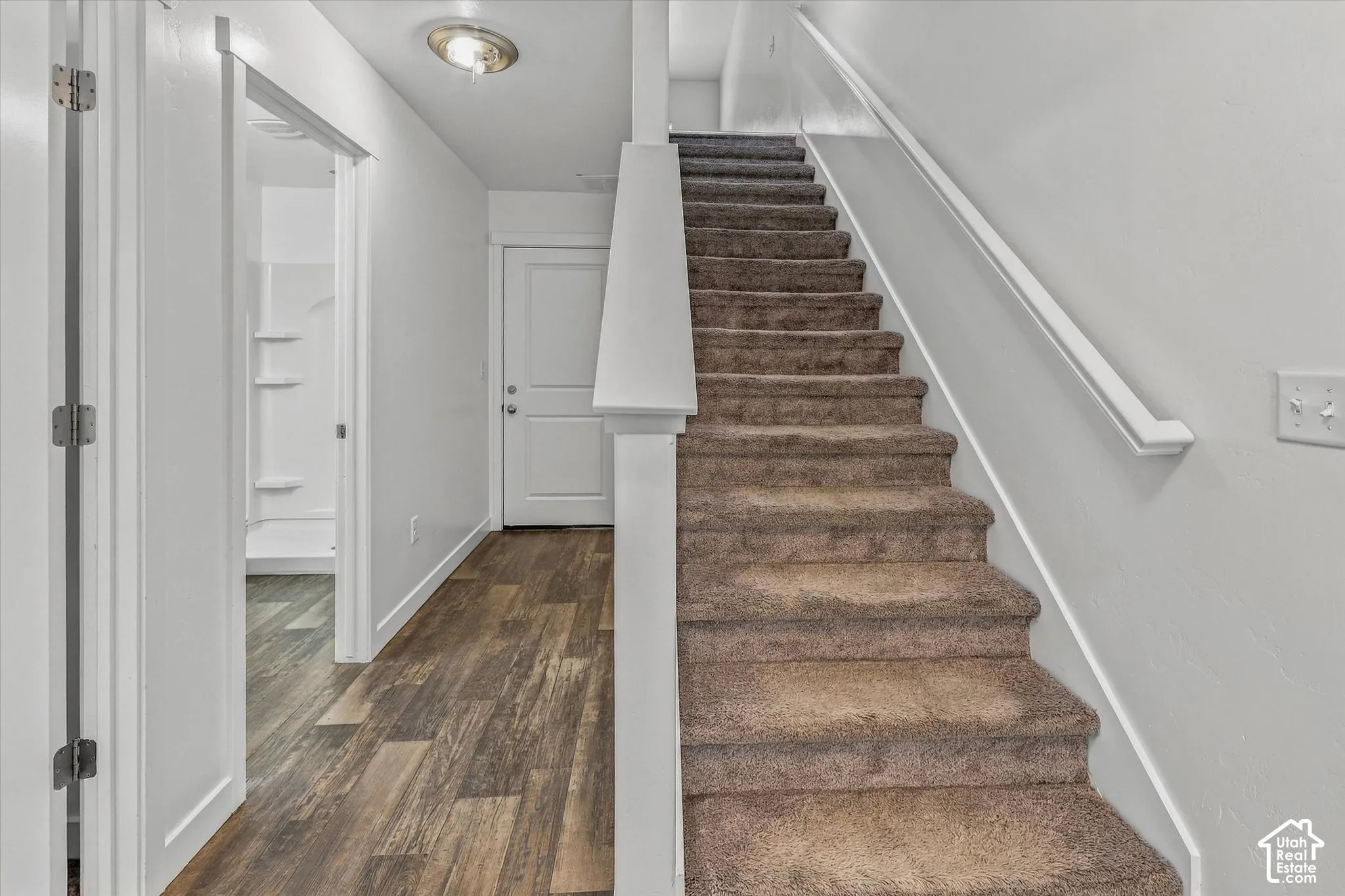 Entryway featuring wood-finish flooring, carpeted stairs with a white handrail, and a paneled door