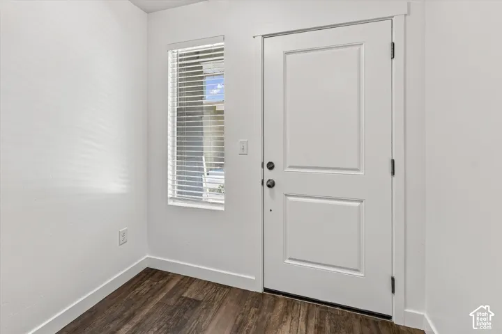 Entry area featuring wood-finish flooring, a white two-panel door, and a tall rectangular window equipped with horizontal blinds