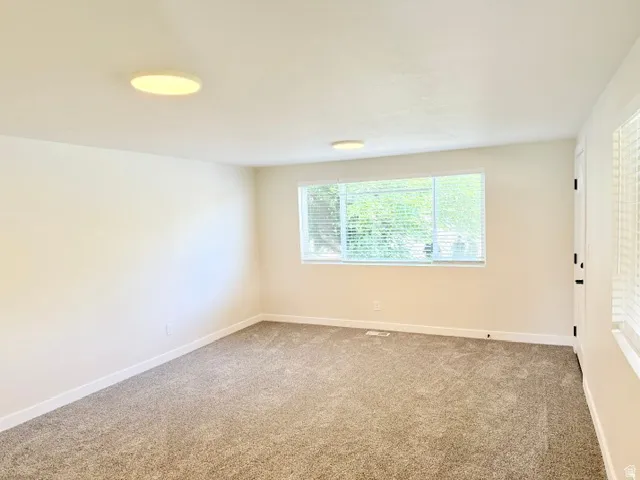 Neutral tone wall paint, carpeted flooring, large window with blinds, and flush-mount ceiling lighting