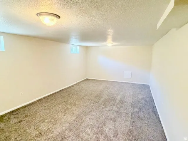 Spacious room featuring neutral carpeting, light-toned walls, two ceiling-mounted light fixtures, and two small windows