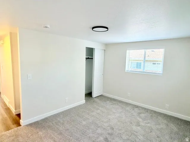 Neutral tone wall finish, plush carpeting, built-in closet with sliding doors, flush-mount ceiling light fixture, and wood-finish flooring