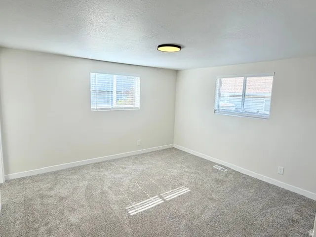 Neutral wall color with two windows, carpeted flooring, and a flush-mount ceiling light