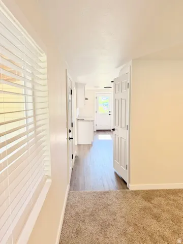 Transitioning flooring featuring plush carpeting and wood-finish flooring
