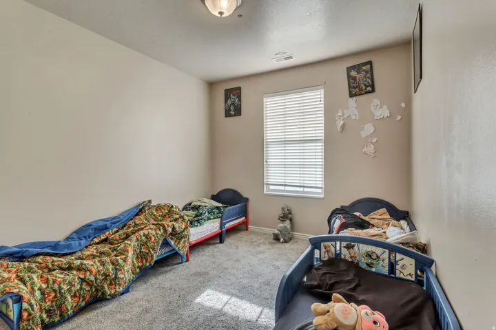 Recessed window with blinds, wall-to-wall carpeting, and an overhead light fixture
