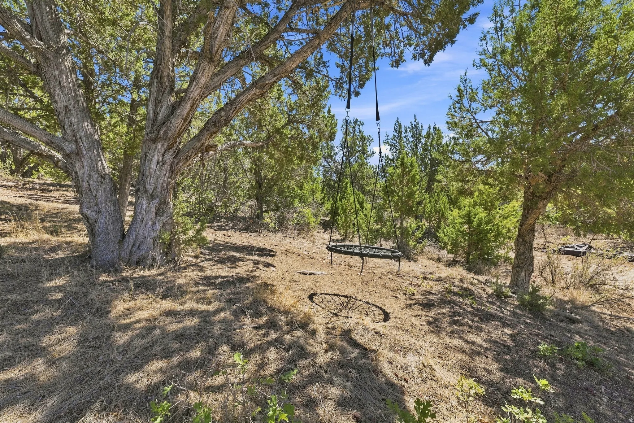 Mature trees providing natural shade