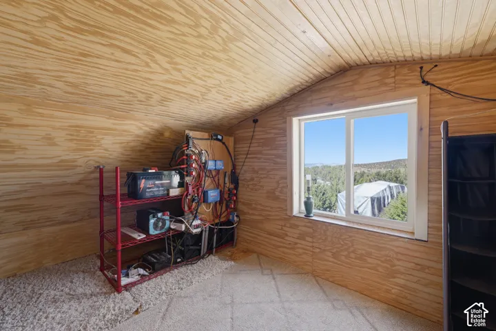 Plywood-paneled walls and ceiling, carpeted flooring, and a white-framed window