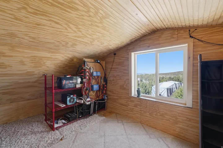 Plywood-paneled walls and ceiling, carpeted flooring, and a white-framed window