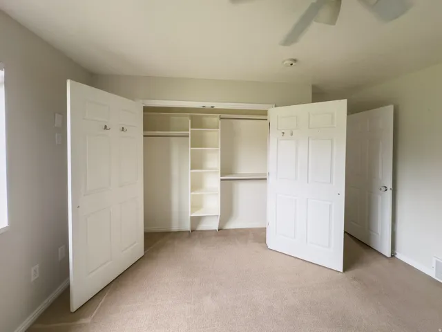 Primary Closet