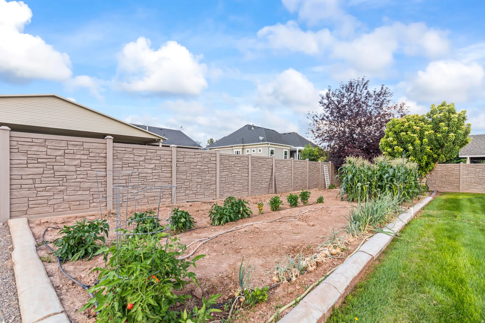 Expansive garden area featuring planted rows, concrete curbing, and a stone-look fence