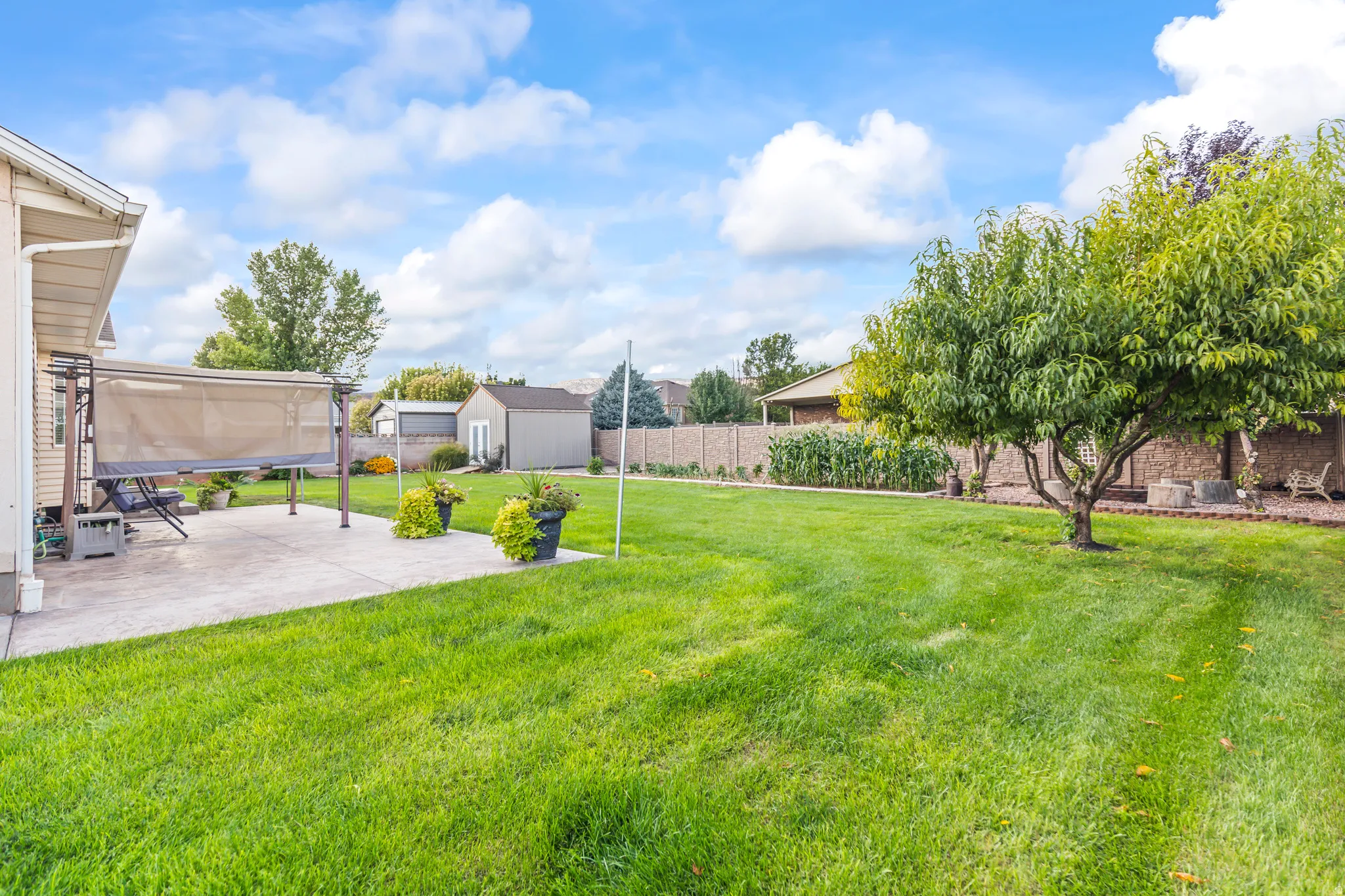 Expansive green lawn with a concrete patio, mature trees, and a detached shed