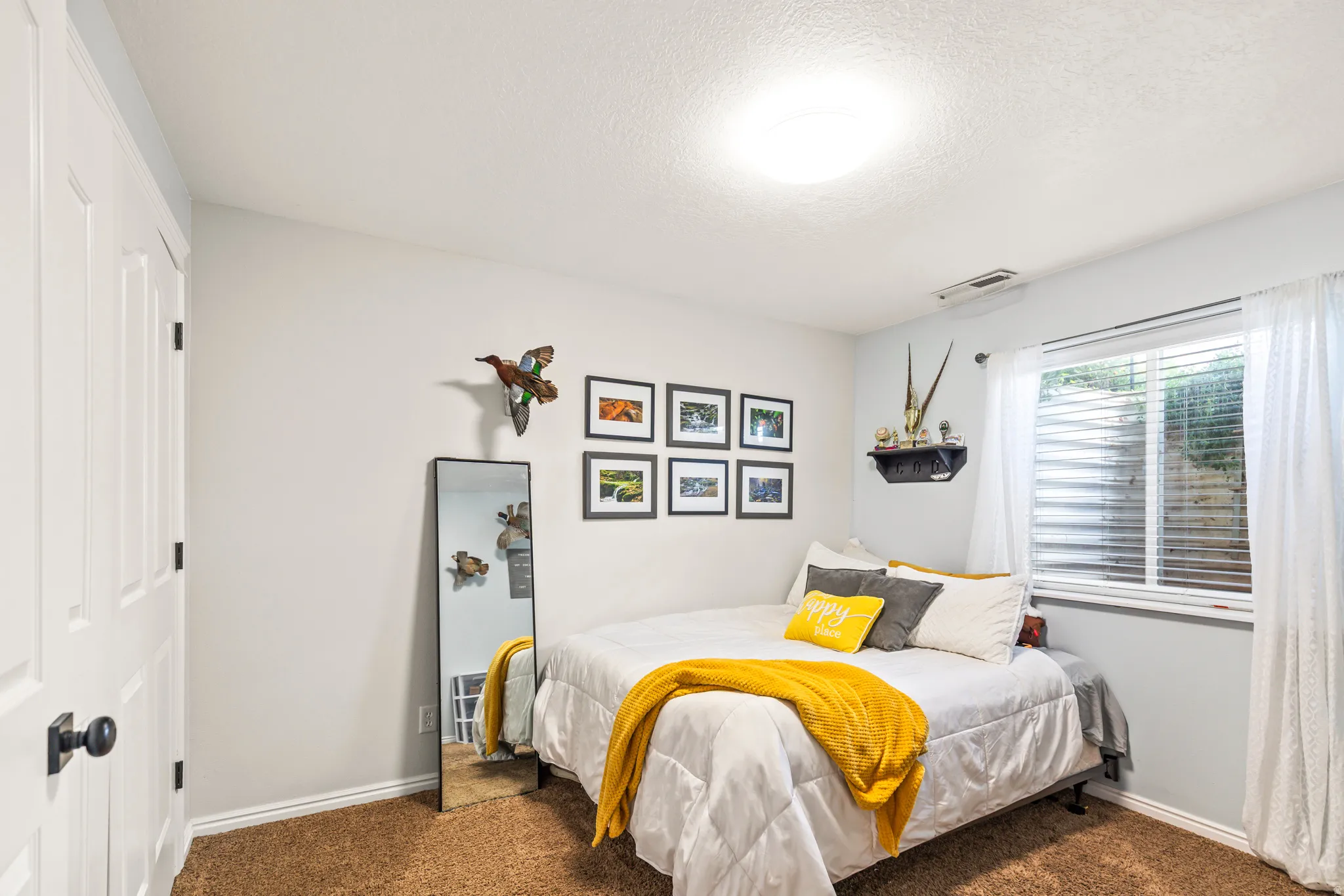 Carpeted flooring, white interior doors with matte black hardware, recessed window with blinds, and ceiling-mounted light fixture
