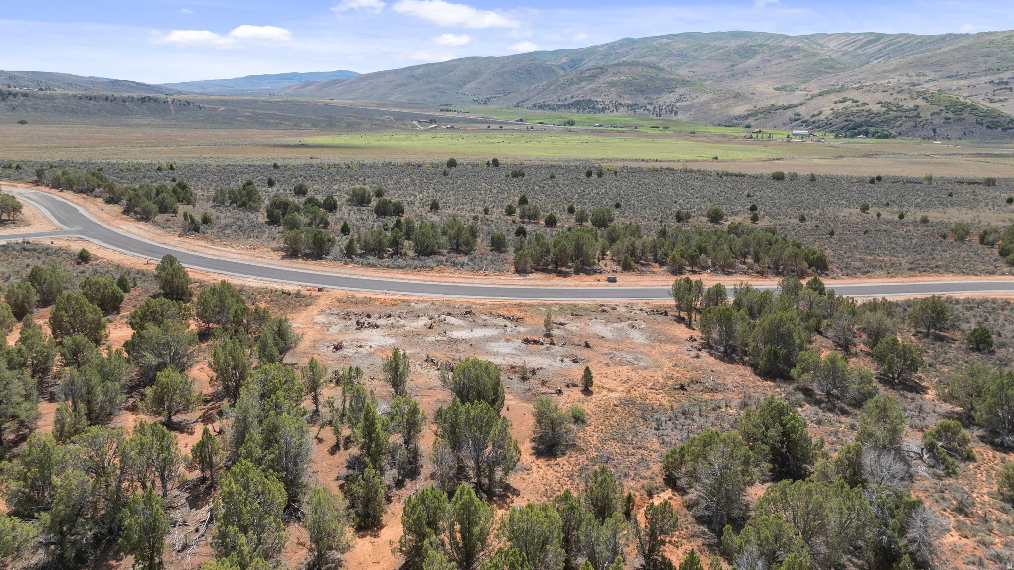Expansive undeveloped land featuring mature trees and a paved road, set against a backdrop of distant mountains