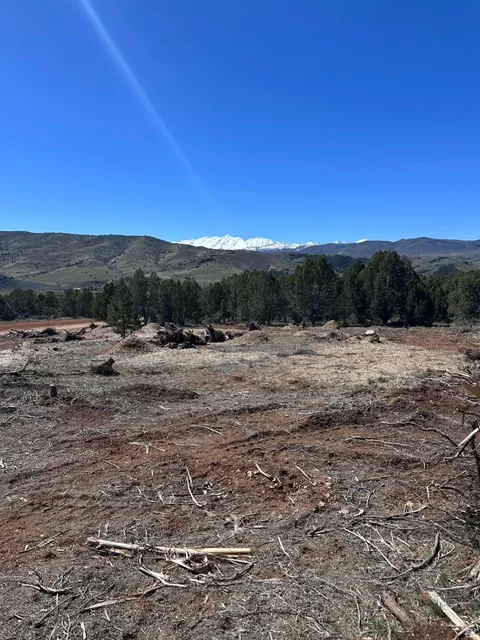 Expansive cleared land featuring distant snow-capped mountains and scattered evergreen trees