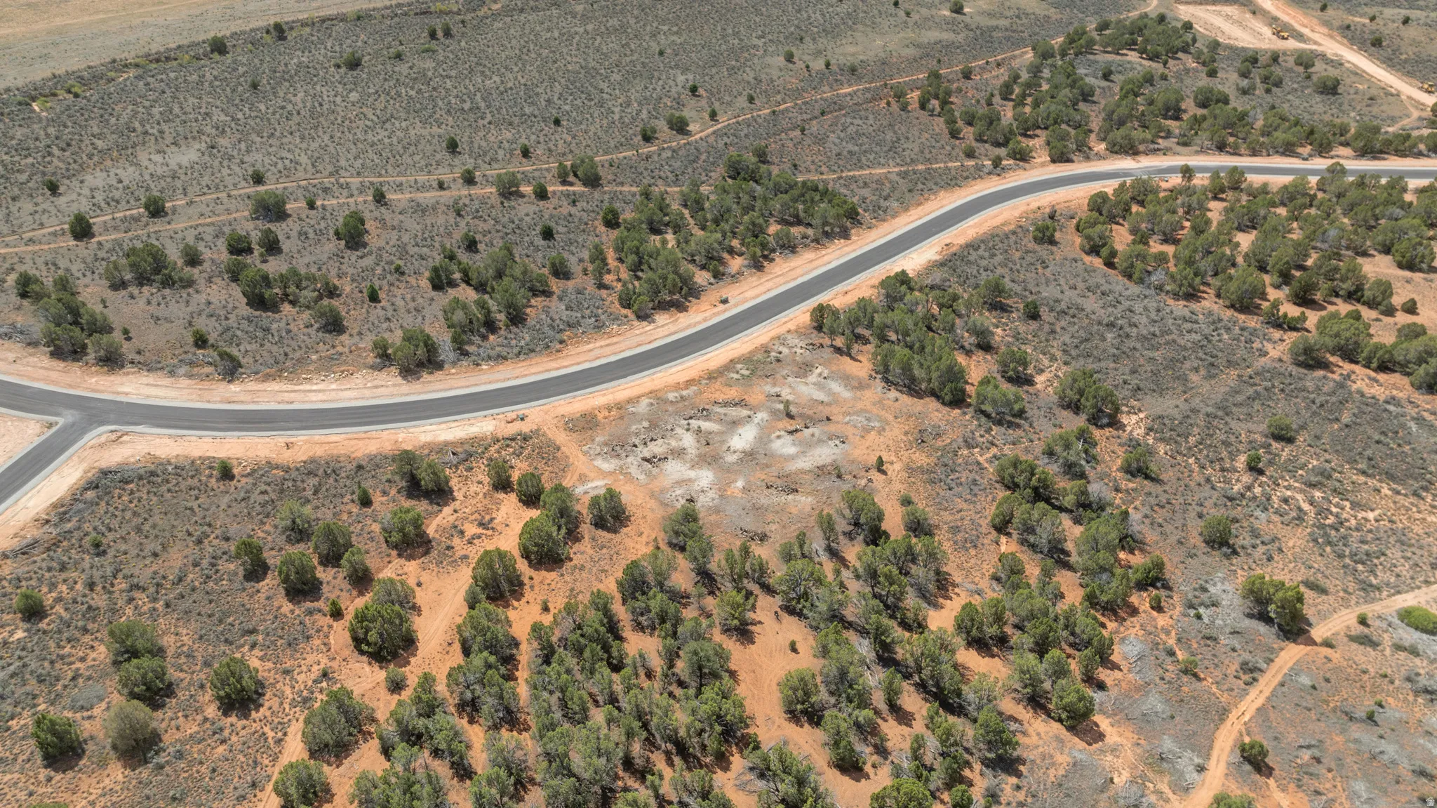 Paved road access within a naturally vegetated landscape