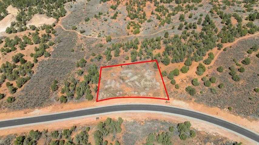 Expansive land parcel with direct paved road frontage, natural desert foliage, and a designated cleared area within the property boundary