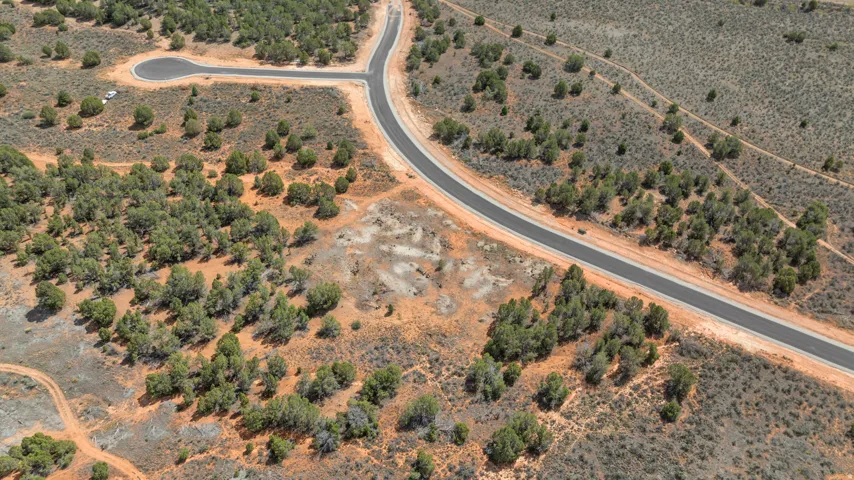 Paved road access, cul-de-sac, natural desert vegetation, and mature trees