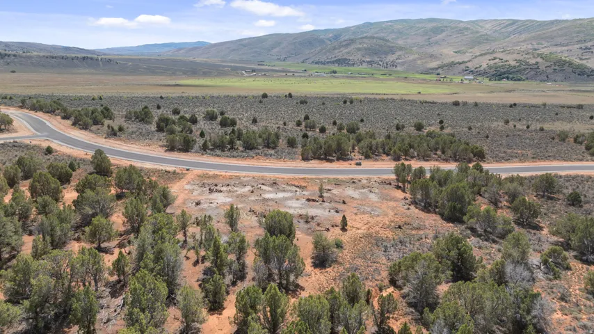 Expansive undeveloped land featuring mature trees and a paved road, set against a backdrop of distant mountains