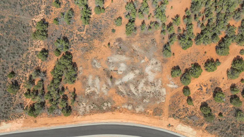 Arid landscape featuring natural vegetation and a paved road