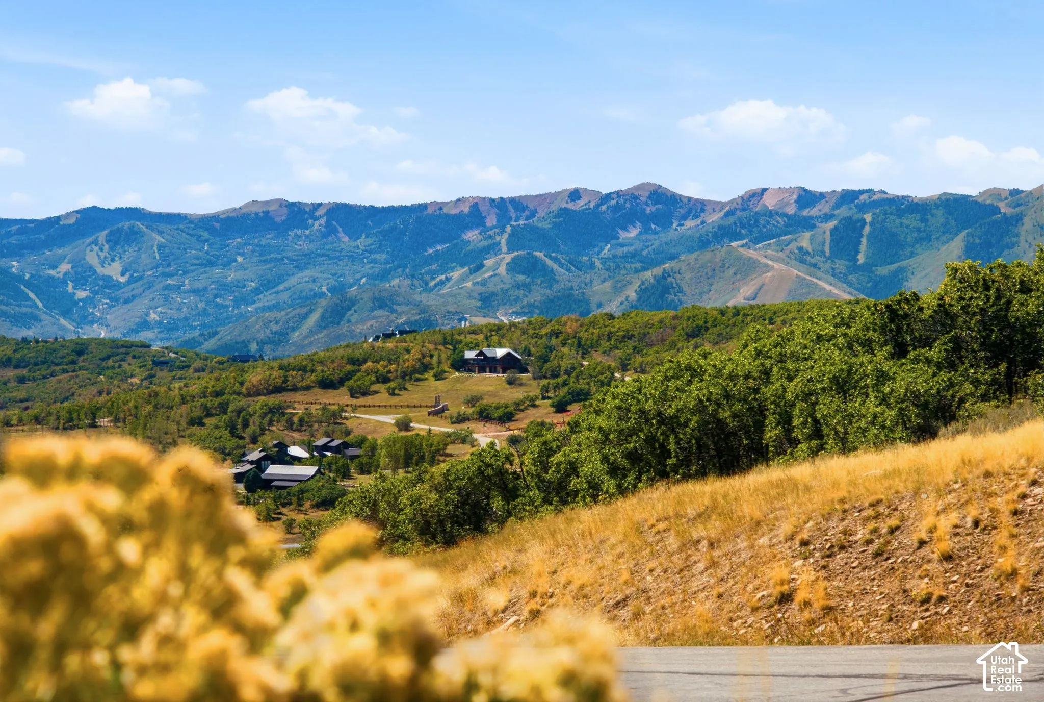 Mountainous terrain with lush green trees and distant structures