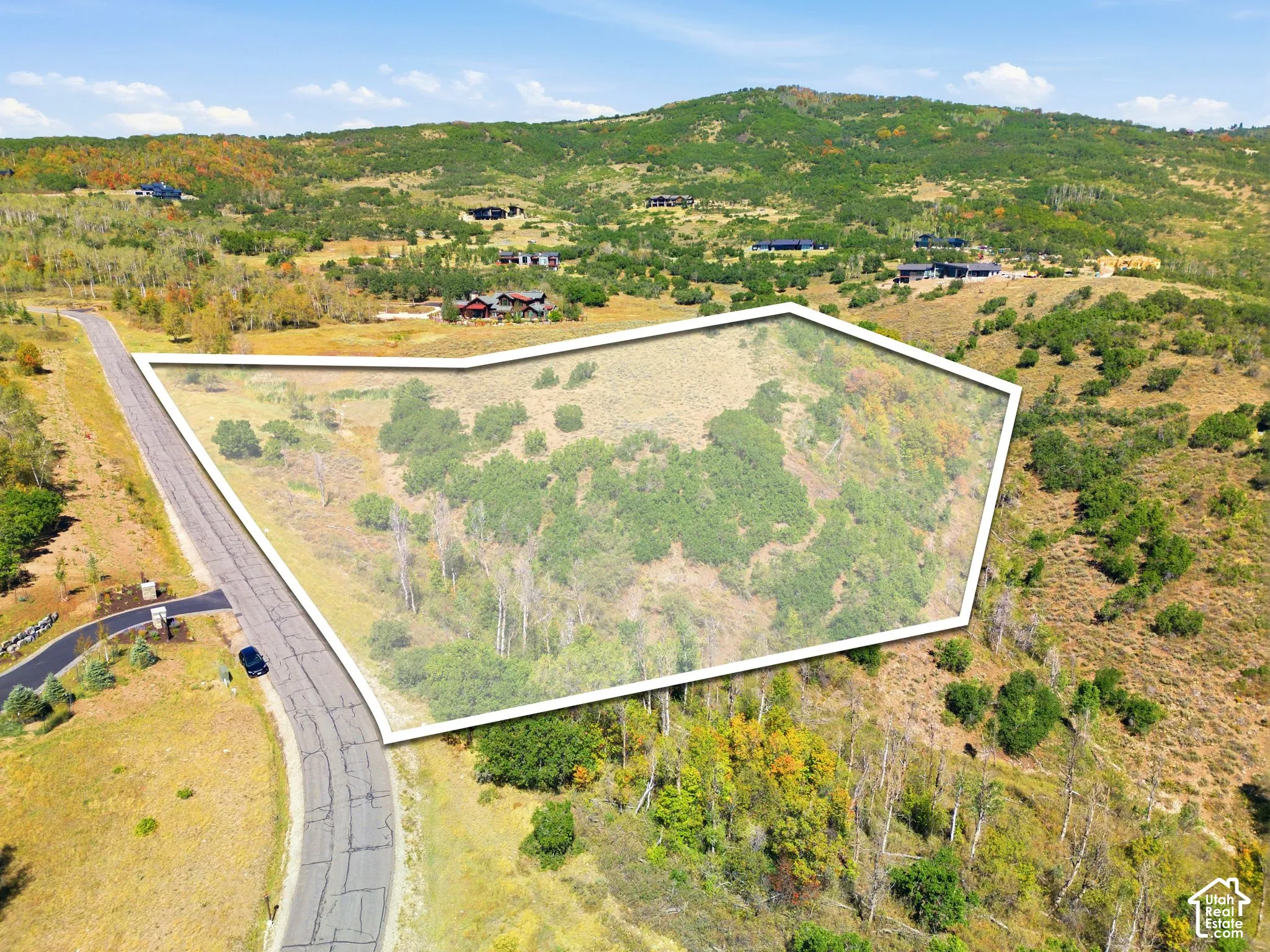 Expansive land parcel featuring natural vegetation and direct road access