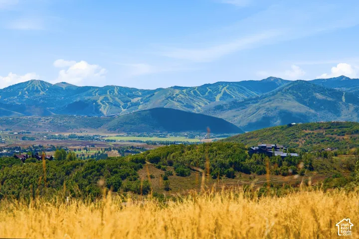 Expansive mountain landscape with distant ski slopes and a valley below