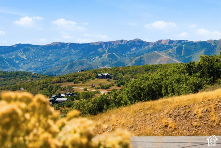 Mountainous terrain with lush green trees and distant structures