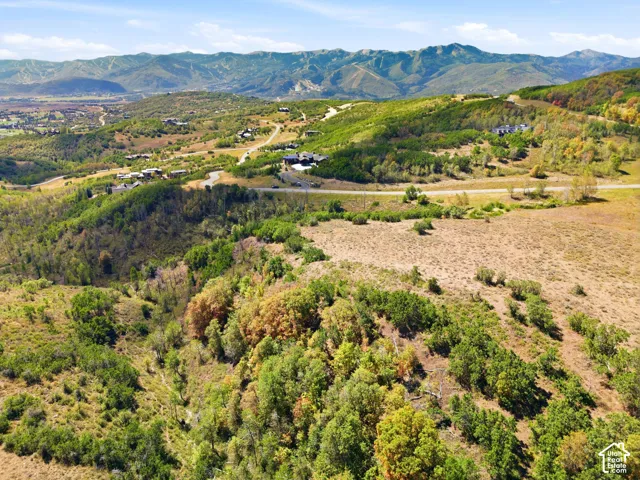 Expansive landscape featuring rolling hills, abundant greenery, and a mountainous backdrop
