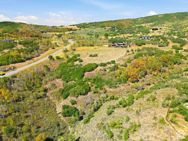 Expansive sloped terrain featuring diverse foliage and a clear blue sky