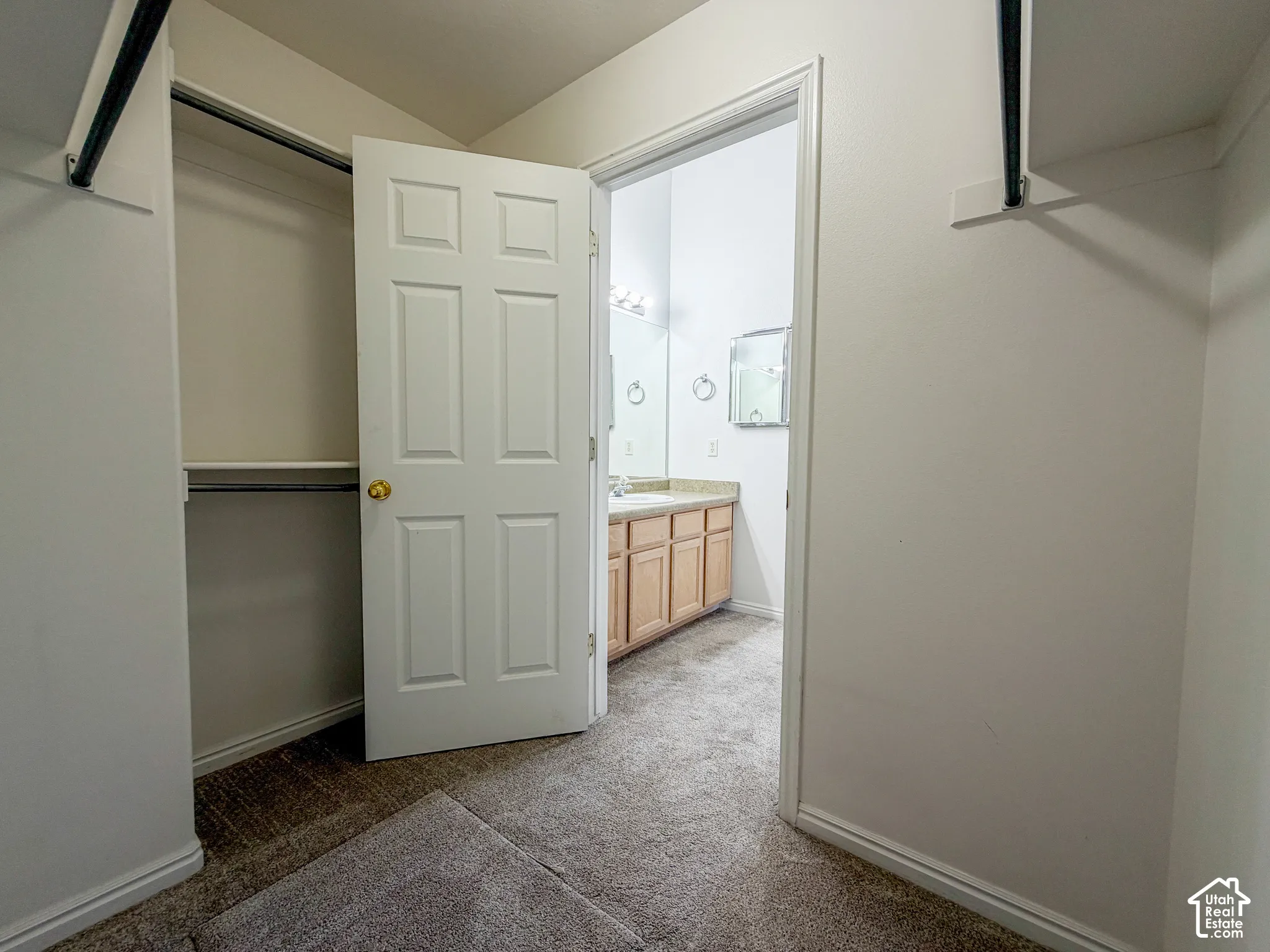 Walk-in closet with carpet flooring and built-in shelving