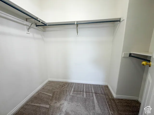 Walk-in closet featuring carpet flooring and built-in shelving with hanging rods