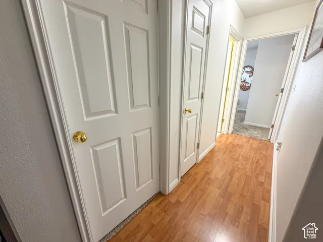 Hallway with wood-finish flooring and multiple paneled doors