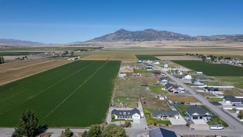 Expansive agricultural fields, residential neighborhood, paved streets, and a prominent mountain backdrop