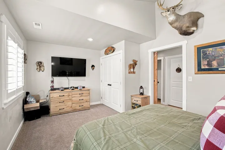 Window with plantation shutters, carpeted flooring, built-in closet, and interior doorway