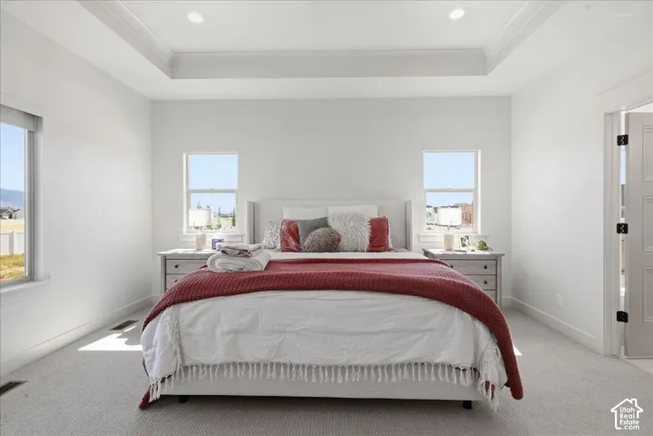 Tray ceiling with recessed lighting, light-toned carpet flooring, and multiple windows
