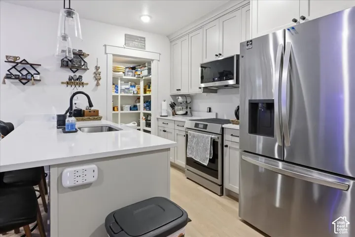 Kitchen featuring light wood-finish flooring, white cabinetry, stainless steel appliances, a kitchen island with a built-in sink, and a walk-in pantry with built-in shelving