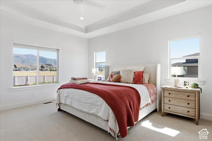 Recessed lighting, tray ceiling, and dual windows
