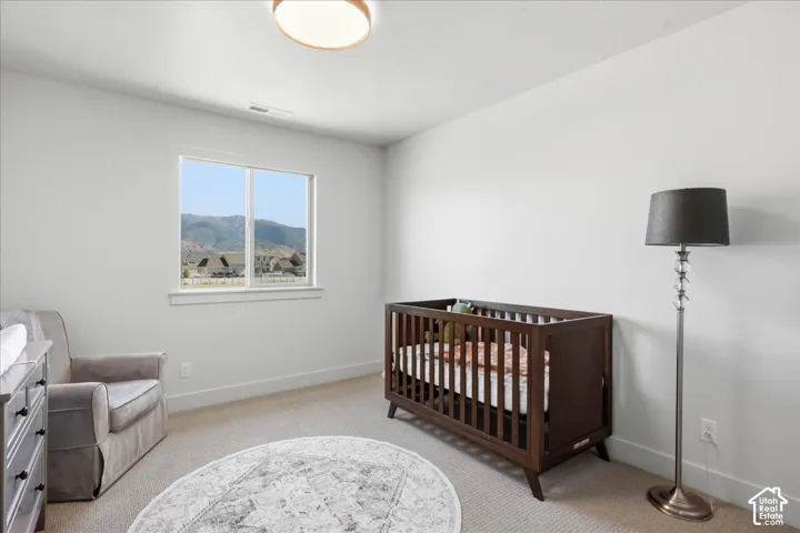 Wall-to-wall carpeting and a ceiling-mounted light fixture